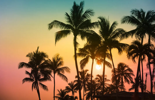 Kava and Kratom Tropical Plants and Palm Trees