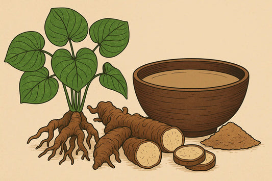 What Is Kava? The Ancient Root Behind the Modern Calm